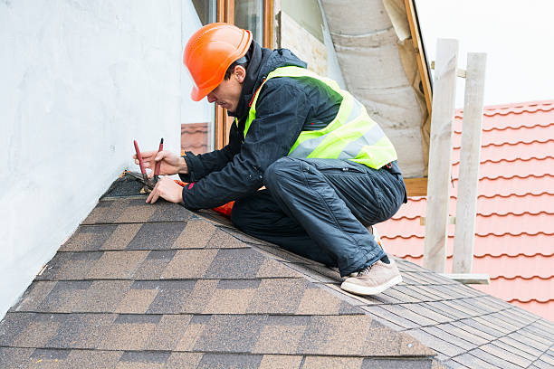 Best Roof Gutter Cleaning  in Brackenridge, PA